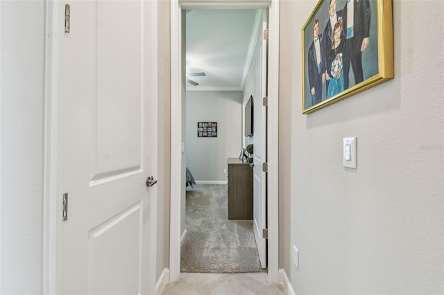 31840 Magna Gulf Loop, San Antonio, FL 33576 - hallway featuring crown molding, baseboards, and tile patterned floors