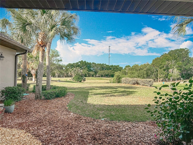 502 Canopy Ln, Lady Lake, FL 32159 - view of grassy yard