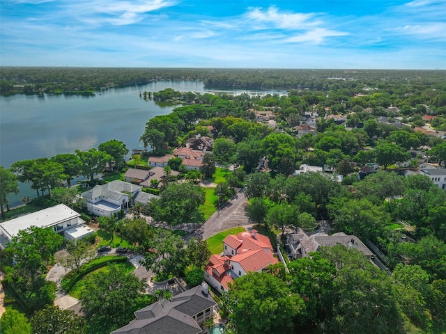 1401 Green Cove Rd, Winter Park, FL 32789 - photo 74