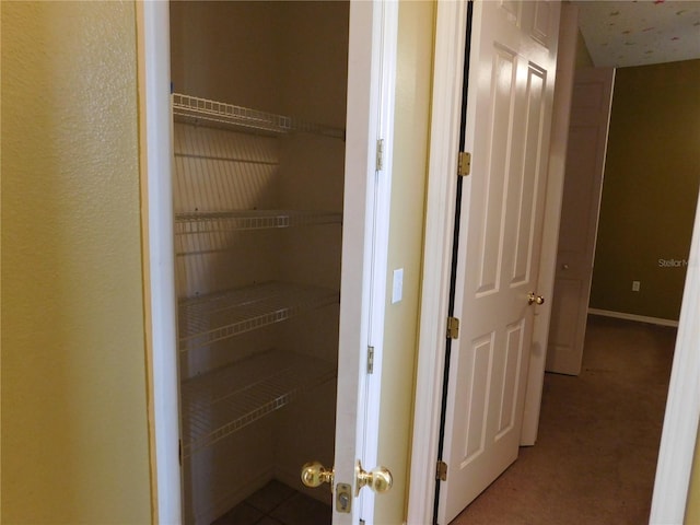 7045 Branch Ct, Saint Cloud, FL 34771 - view of pantry