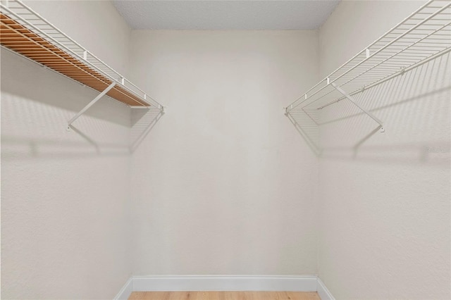 2213 Grand Cayman Ct Unit 1138, Kissimmee, FL 34741 - walk in closet with light wood-style floors