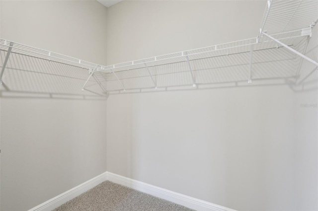 16460 Silver Brook Way, Winter Garden, FL 34787 - walk in closet with carpet flooring