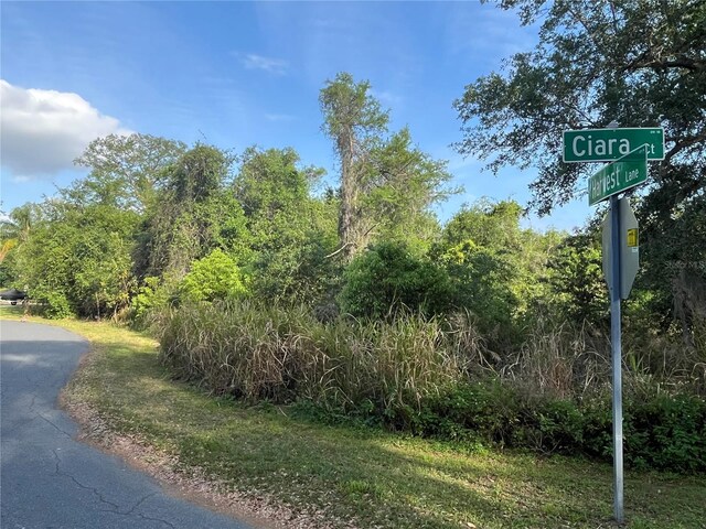 Harvest Ln, Kissimmee, FL 34744