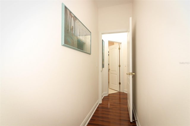 4201 Old Trafford Way, Orlando, FL 32810 - hallway with dark wood finished floors and baseboards
