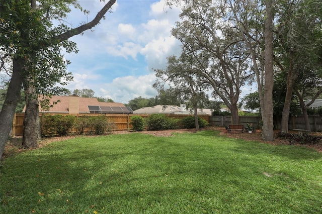 4201 Old Trafford Way, Orlando, FL 32810 - view of yard