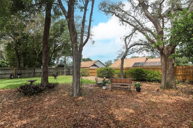 4201 Old Trafford Way, Orlando, FL 32810 - view of yard