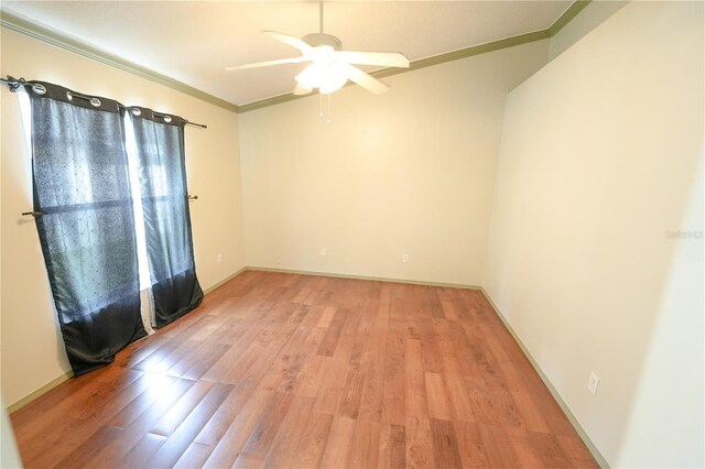 10255 Cody Ln, Orlando, FL 32825 - photo 6
