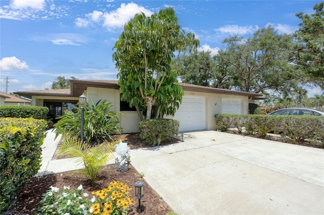 ranch-style house featuring a garage, stucco siding, and driveway