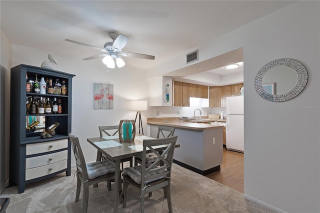 dining room featuring a ceiling fan, light wood-type flooring, and light colored carpet