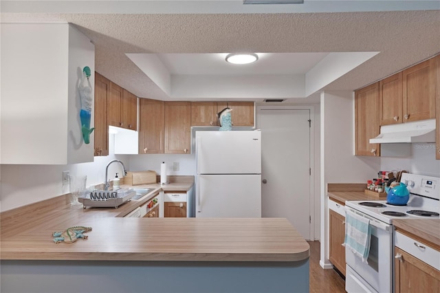 kitchen featuring white appliances, under cabinet range hood, a sink, and light countertops
