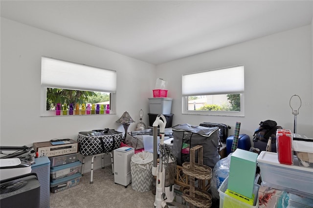 miscellaneous room featuring carpet