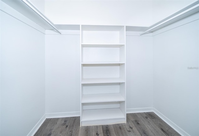 713 Coach Light Dr, Fern Park, FL 32730 - walk in closet with wood finished floors