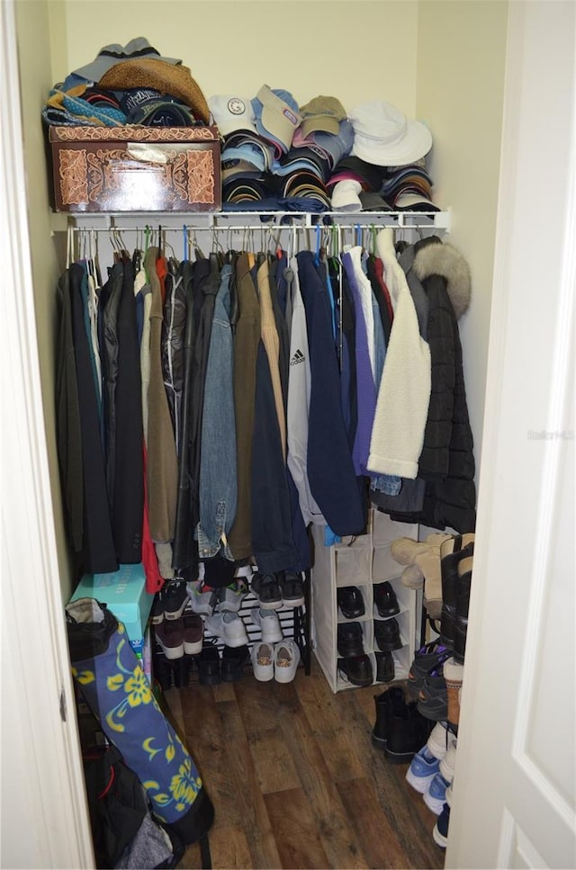 12212 Wild Iris Way Unit 106, Orlando, FL 32837 - view of closet