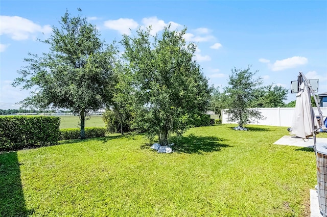 3519 Fernanda Dr, Deltona, FL 32738 - view of yard