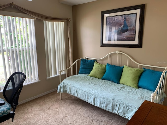 1585 Stefan Cole Ln, Apopka, FL 32703 - carpeted bedroom with multiple windows and baseboards