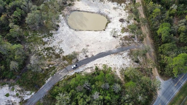 15618 Lake Yale Rd, Umatilla, FL 32784 - photo 4