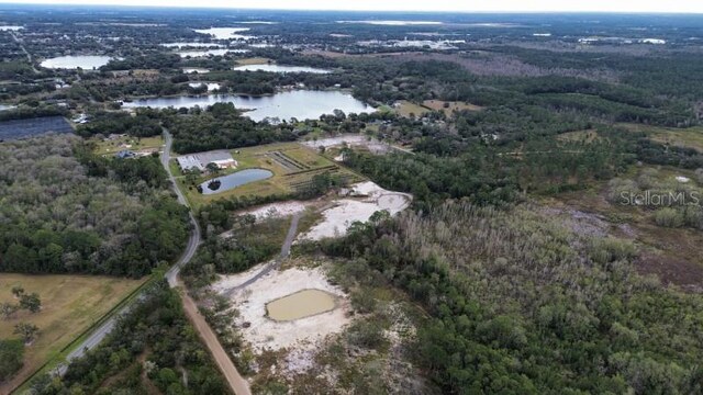 15618 Lake Yale Rd, Umatilla, FL 32784 - photo 6