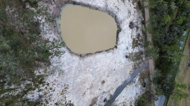 15618 Lake Yale Rd, Umatilla, FL 32784 - photo 10