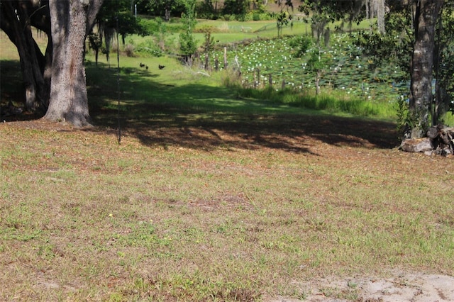 1364 Gainesville Dr, Deltona, FL 32725 - view of grassy yard