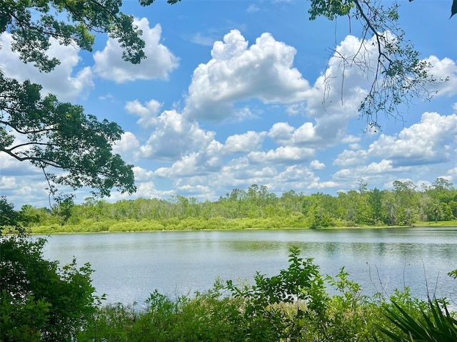 Vista St, Lake Helen, FL 32744 - photo 1