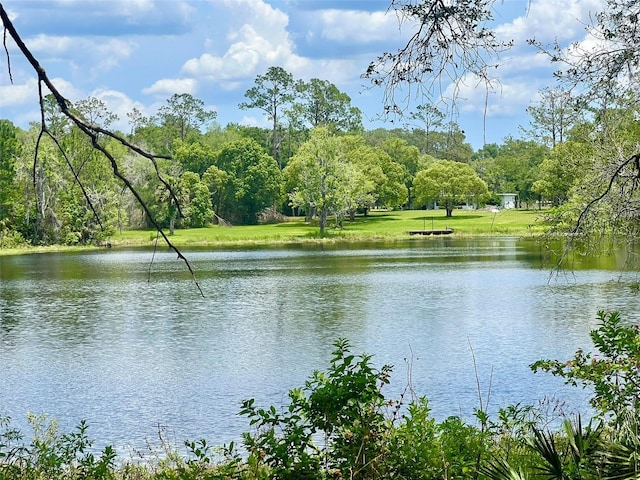 Vista St, Lake Helen, FL 32744 - photo 2