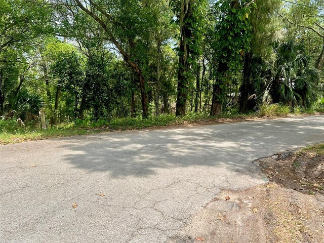 Vista St, Lake Helen, FL 32744 - photo 20