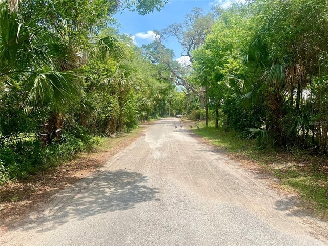 Vista St, Lake Helen, FL 32744 - photo 21