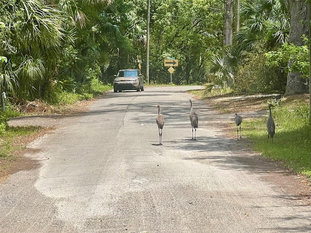 Vista St, Lake Helen, FL 32744 - photo 18