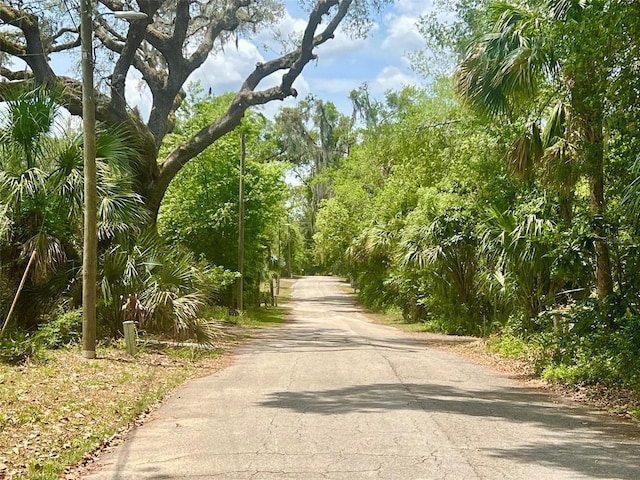 Vista St, Lake Helen, FL 32744 - photo 19