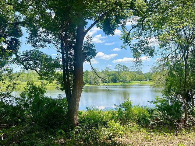 Vista St, Lake Helen, FL 32744 - photo 4
