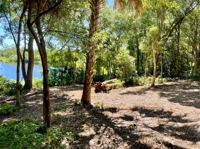 Vista St, Lake Helen, FL 32744 - photo 6