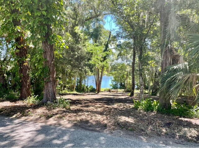 Vista St, Lake Helen, FL 32744 - photo 7