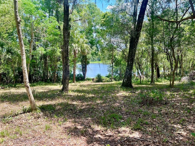 Vista St, Lake Helen, FL 32744 - photo 8