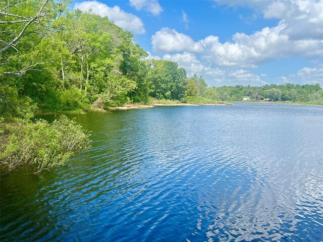 Vista St, Lake Helen, FL 32744 - photo 9