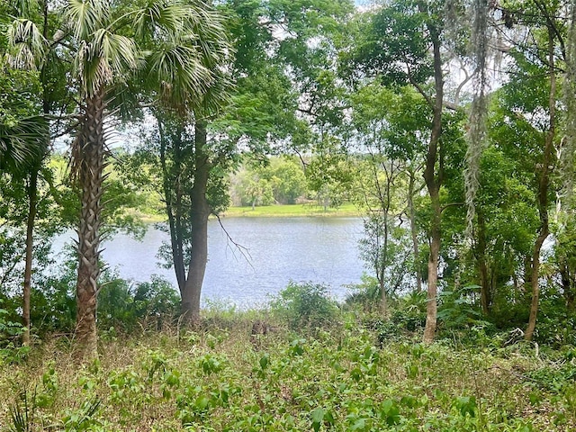 Vista St, Lake Helen, FL 32744 - photo 10