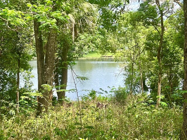 Vista St, Lake Helen, FL 32744 - photo 11