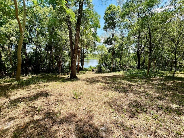 Vista St, Lake Helen, FL 32744 - photo 12