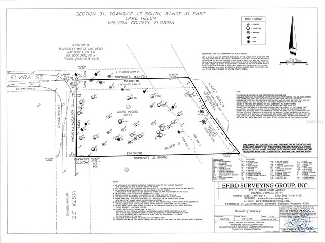 Vista St, Lake Helen, FL 32744 - photo 17