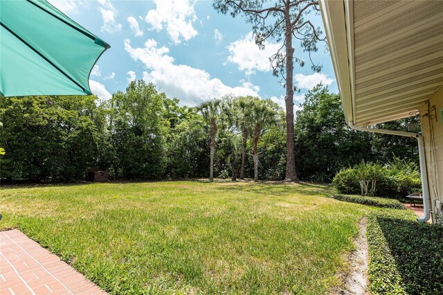 2001 Lily Ct, Sanford, FL 32771 - view of green lawn