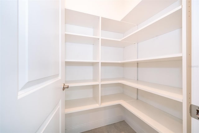 6132 Bimini Twist Loop, Orlando, FL 32819 - view of storage area