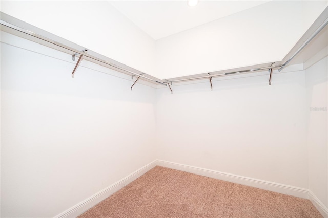6132 Bimini Twist Loop, Orlando, FL 32819 - walk in closet with light carpet
