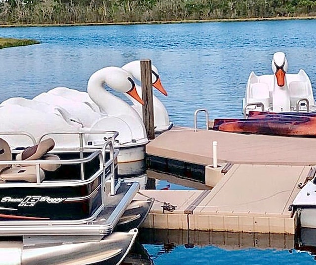 dock with a water view