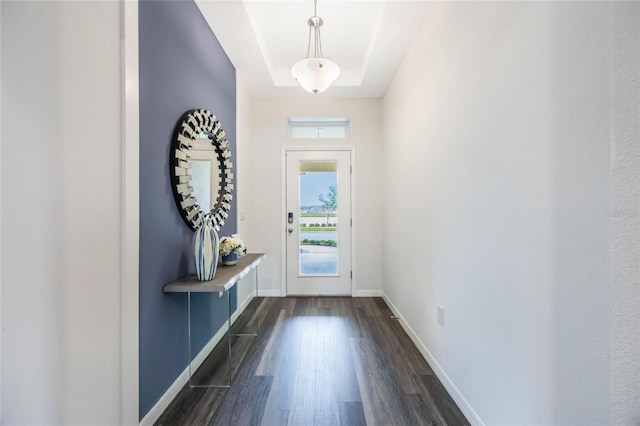 1974 Walnut Creek Dr, Kissimmee, FL 34744 - entryway featuring dark wood-style floors, baseboards, and a tray ceiling