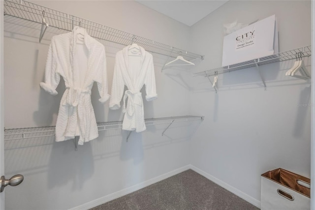 1974 Walnut Creek Dr, Kissimmee, FL 34744 - spacious closet featuring carpet floors