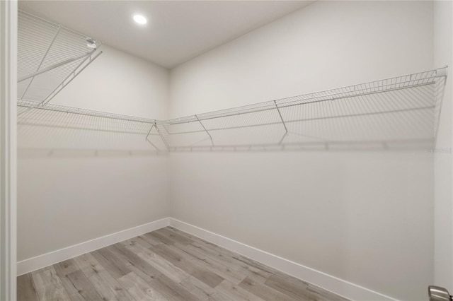 spacious closet featuring light wood-style floors