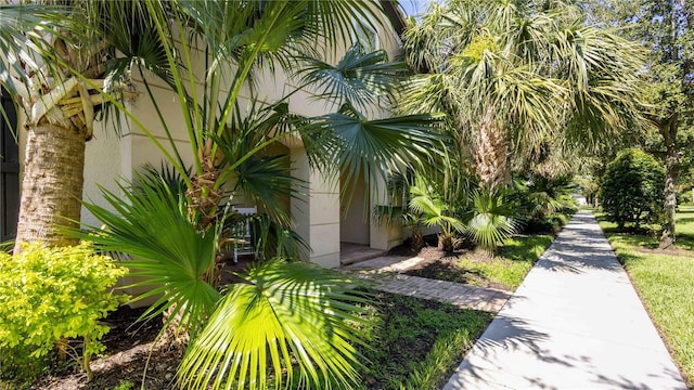 2030 Majorca Dr, Kissimmee, FL 34747 - view of yard