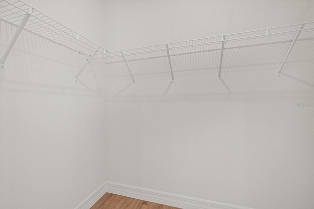 spacious closet featuring light wood-style floors