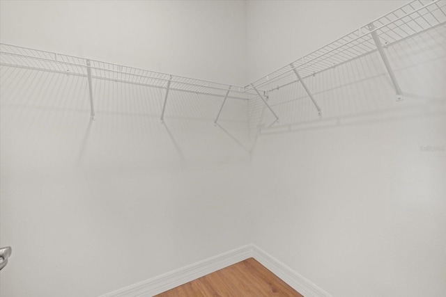 spacious closet with light wood finished floors