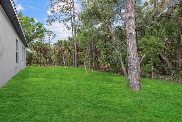 view of grassy yard