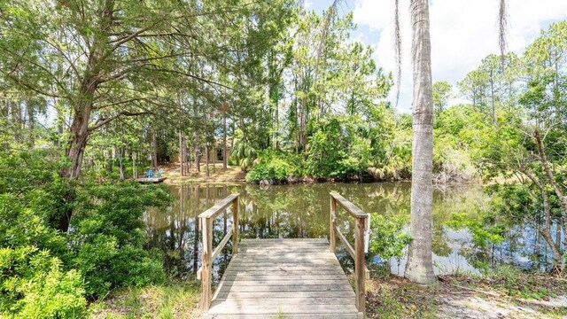 60 Whittington Dr, Palm Coast, FL 32164 - photo 29